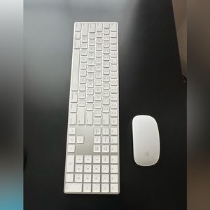 APPLE MOUSE & KEYBOARD